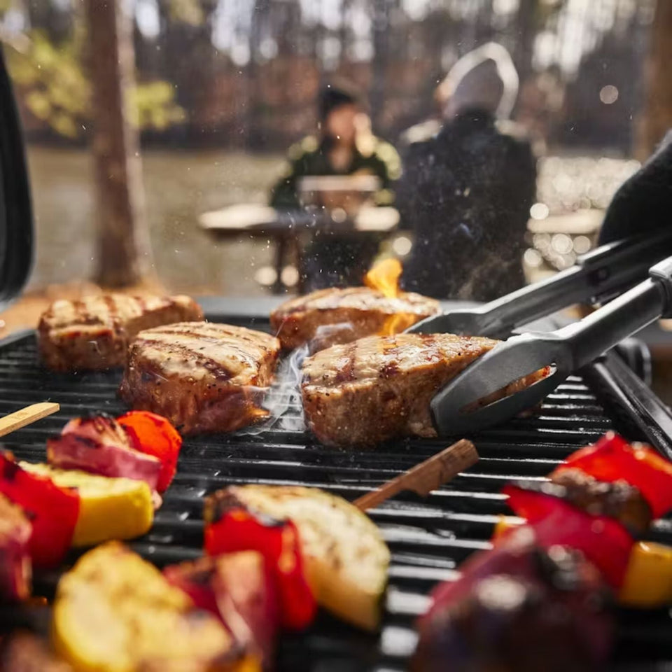 Weber Traveller Compact Portable Gas Grill - 1500554